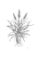 Picture of ALOE