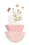 Picture of DAISY PINKS 2