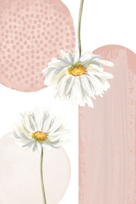 Picture of DAISY PINKS 3