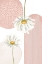 Picture of DAISY PINKS 3