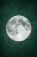 Picture of JADE MOON NO3