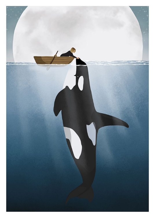 Picture of ORCA