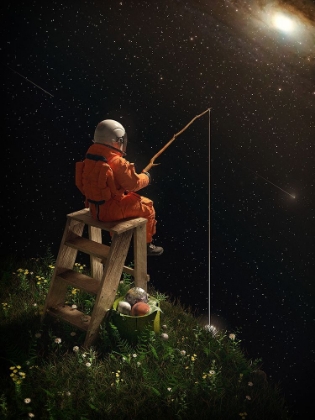 Picture of STAR FISHING