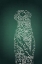 Picture of THE EMERALD MEERKAT