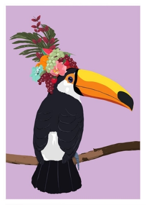 Picture of TOUCAN