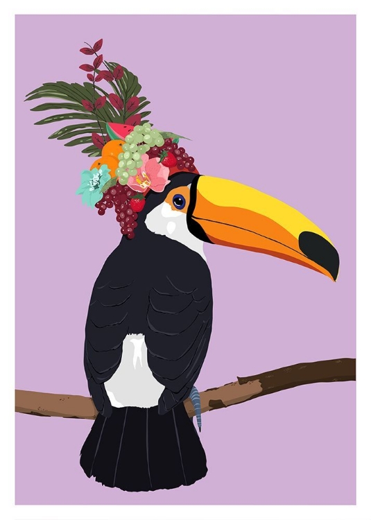 Picture of TOUCAN