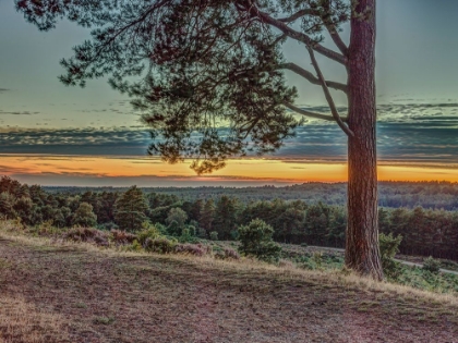 Picture of BEAUTIFUL LANDSCAPE IN COUNTRYSIDE