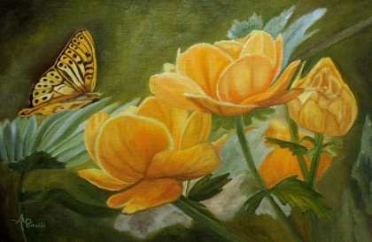 Picture of BUTTERFLY AMONG YELLOW FLOWERS