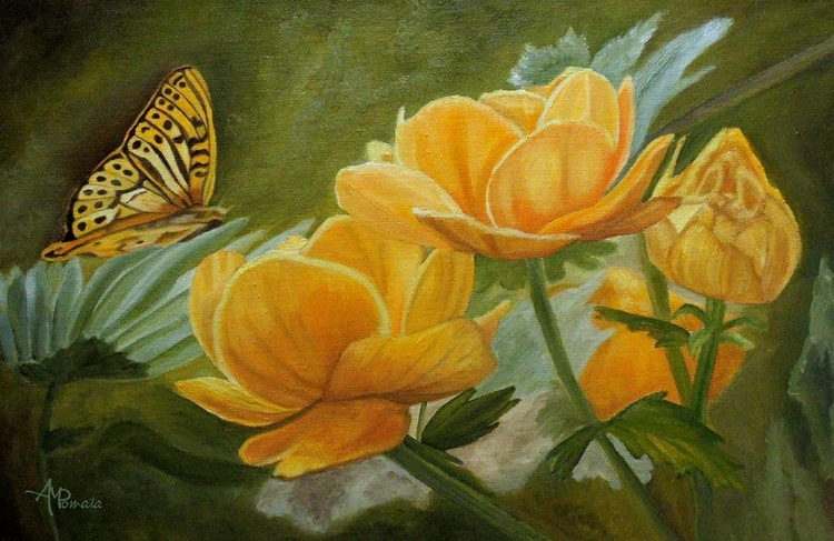 Picture of BUTTERFLY AMONG YELLOW FLOWERS