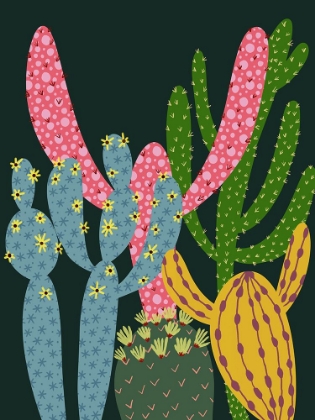 Picture of COLORFUL CACTUS II