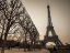 Picture of EIFFEL TOWER, PARIS