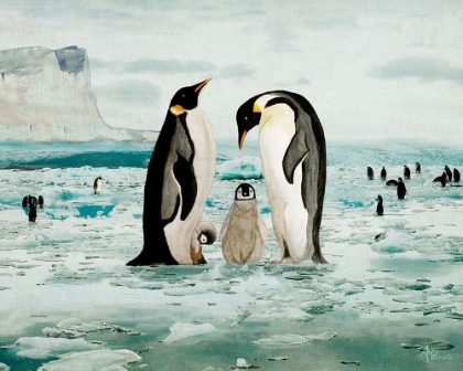 Picture of EMPEROR PENGUIN FAMILY
