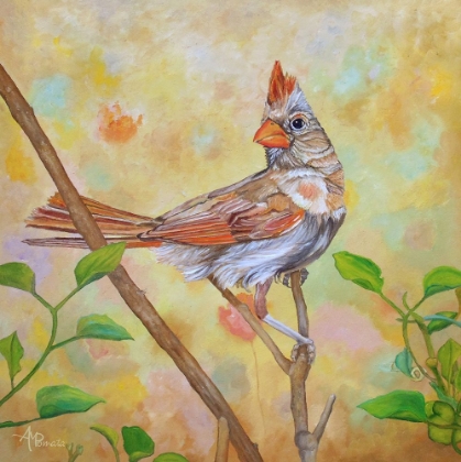 Picture of FEMALE CARDINAL PORTRAIT