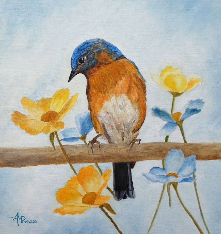 Picture of FLOWER PEEPING EASTERN BLUEBIRD