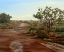 Picture of GENOVESES WALK