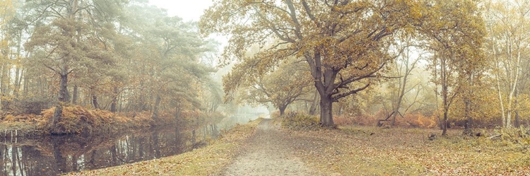 Picture of MISTY CANAL, AUTUMN