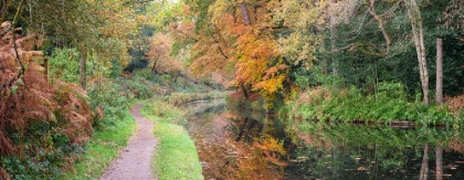 Picture of PATHWAY BY CANAL IN AUTUMN FOREST