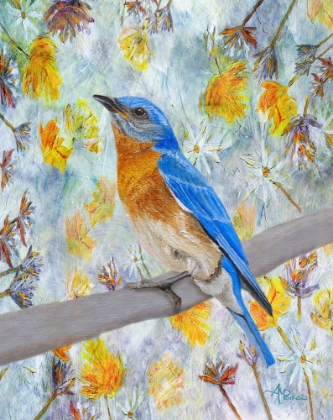 Picture of SPRINGTIME EASTERN BLUEBIRD