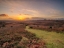 Picture of SUNSET, NEW FOREST, ENGLAND