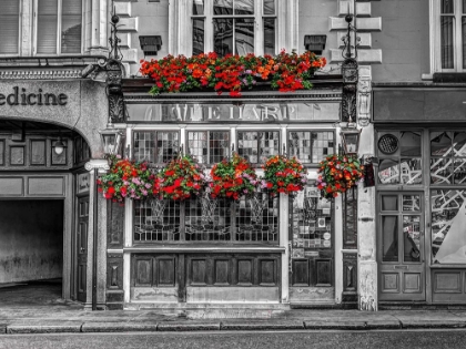 Picture of THE WELSH HARP PUB, LONDON, UK