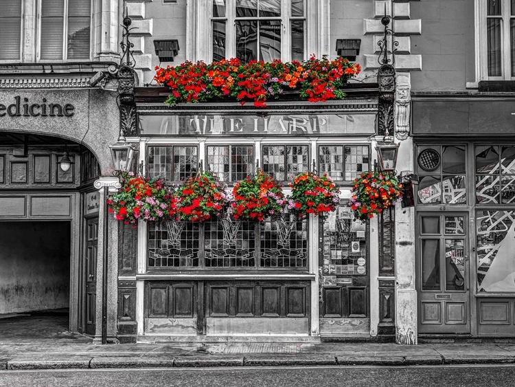 Picture of THE WELSH HARP PUB, LONDON, UK