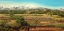 Picture of VINEYARD VALLEY IN THE SIERRA NEVADA SURROUNDINGS