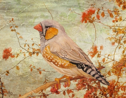 Picture of ZEBRA FINCH AMONG ALMOND TREES