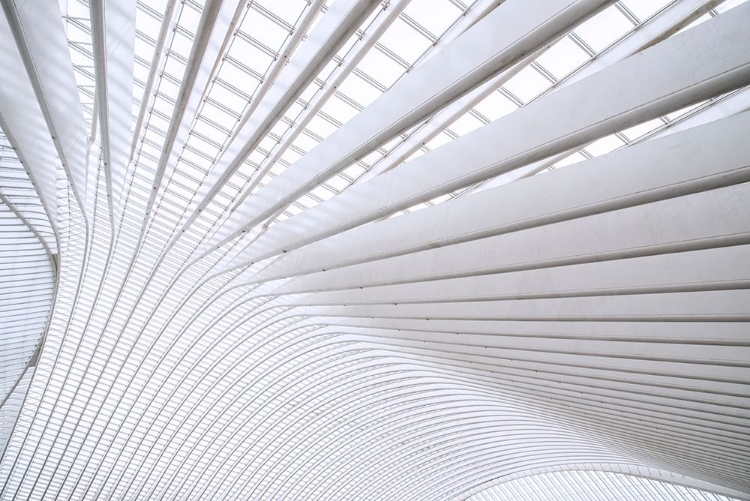 Picture of CURVATURE