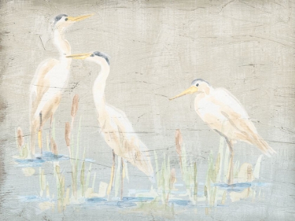 Picture of DRIFTWOOD WATERBIRDS I