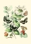 Picture of GARDEN BUTTERFLIES I