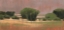 Picture of MISTY RIDGE
