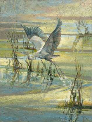Picture of Great Heron