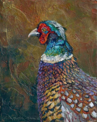 Picture of Pheasant Study