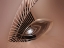 Picture of BIG EYE