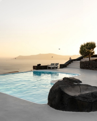 Picture of BIRDS FLYING OVER SWIMMING POOL