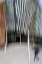 Picture of CITY BLUR
