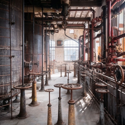 Picture of INDUSTRY IN DECAY