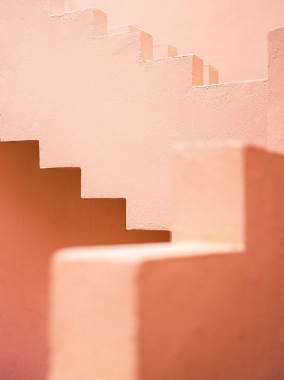 Picture of LA MURALLA ROJA PINK