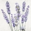 Picture of LAVENDER SQUARE 1