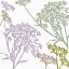 Picture of LILAC BOTANICAL 1