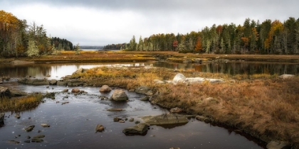 Picture of LOW TIDE