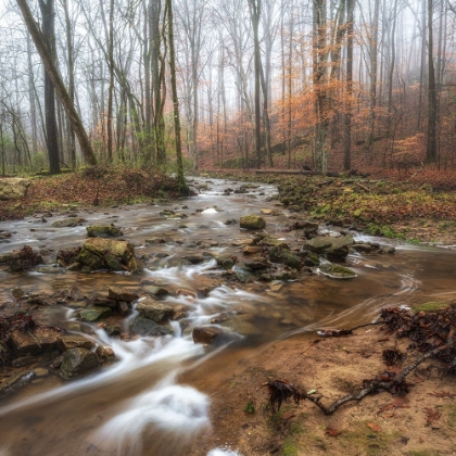 Picture of LOWER SAUTY CREEK