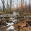 Picture of LOWER SAUTY CREEK
