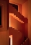 Picture of NIGHT ORANGE