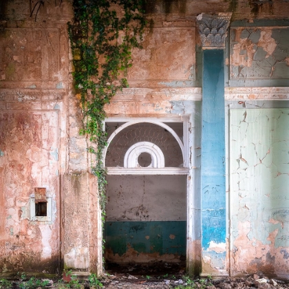 Picture of OVERGROWN ENTRANCE