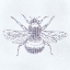 Picture of PATTERNS AND BEES