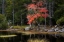 Picture of RED REFLECTIONS II