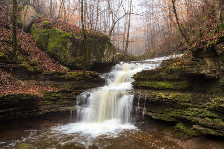 Picture of SAUTY CREEK FALLS I