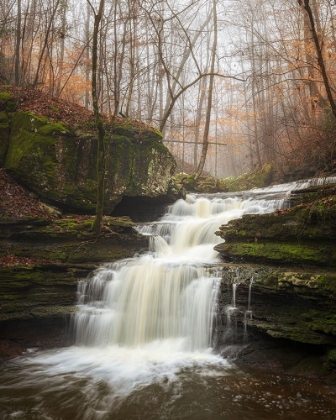 Picture of SAUTY CREEK FALLS II