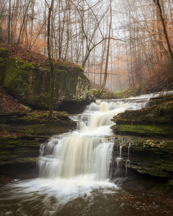 Picture of SAUTY CREEK FALLS II